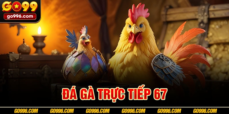 da-ga-truc-tiep-67