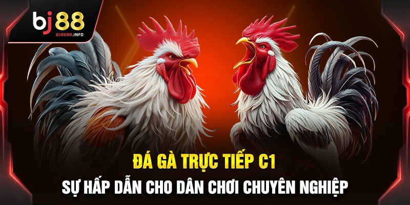 da-ga-truc-tiep-c1